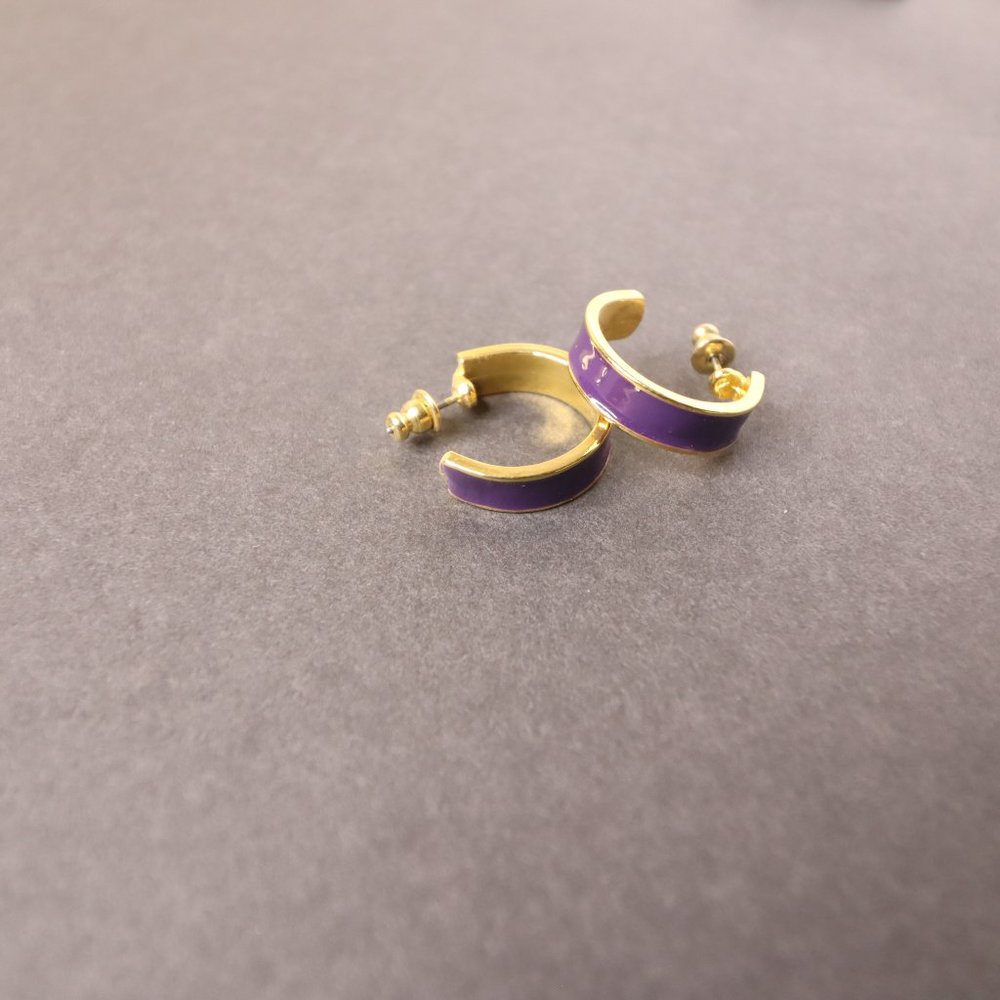 Women's Gold Tone Purple Hoops Size OS